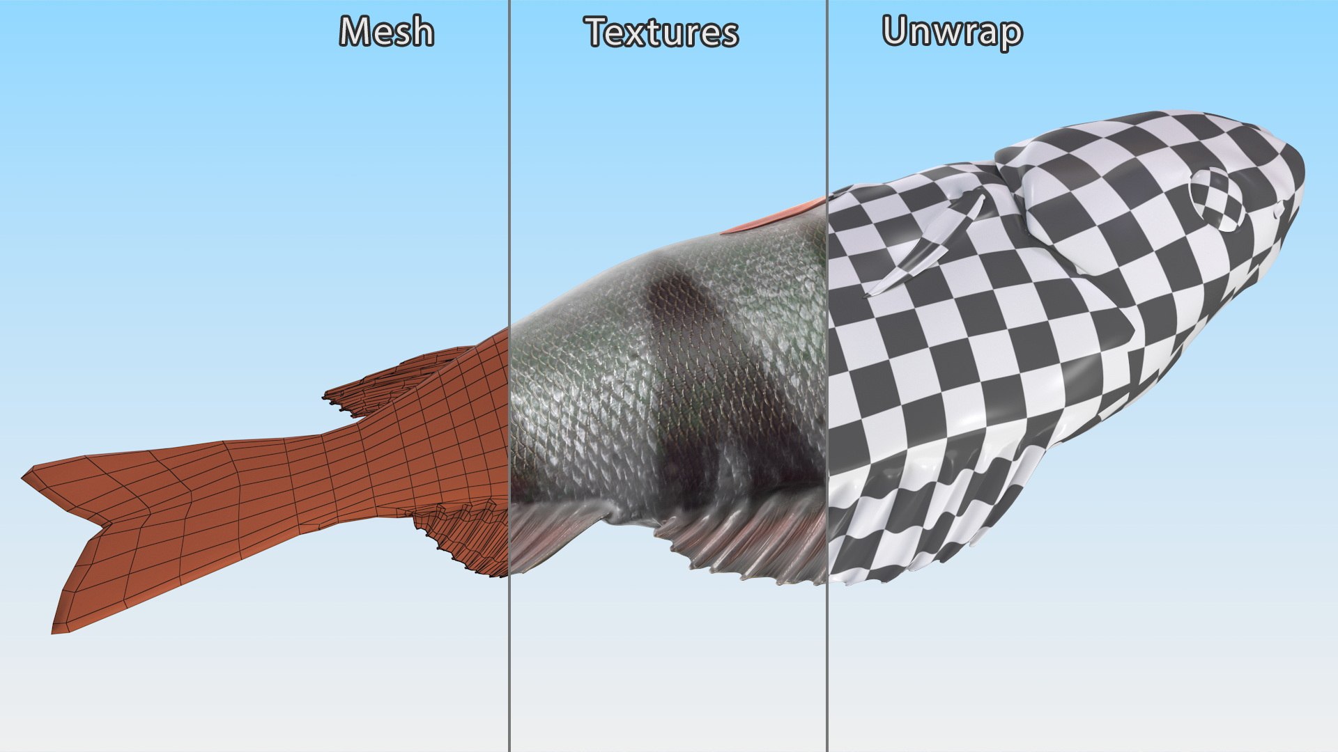 Caught Perca Fluviatilis Fish Lying 3D https://p.turbosquid.com/ts-thumb/oY/AZPOgb/WY/caughtpercafluviatilisfishlying3dmodel016/jpg/1702527482/1920x1080/fit_q87/96337859d723358f4d644d46f5bd6572fbe486f0/caughtpercafluviatilisfishlying3dmodel016.jpg