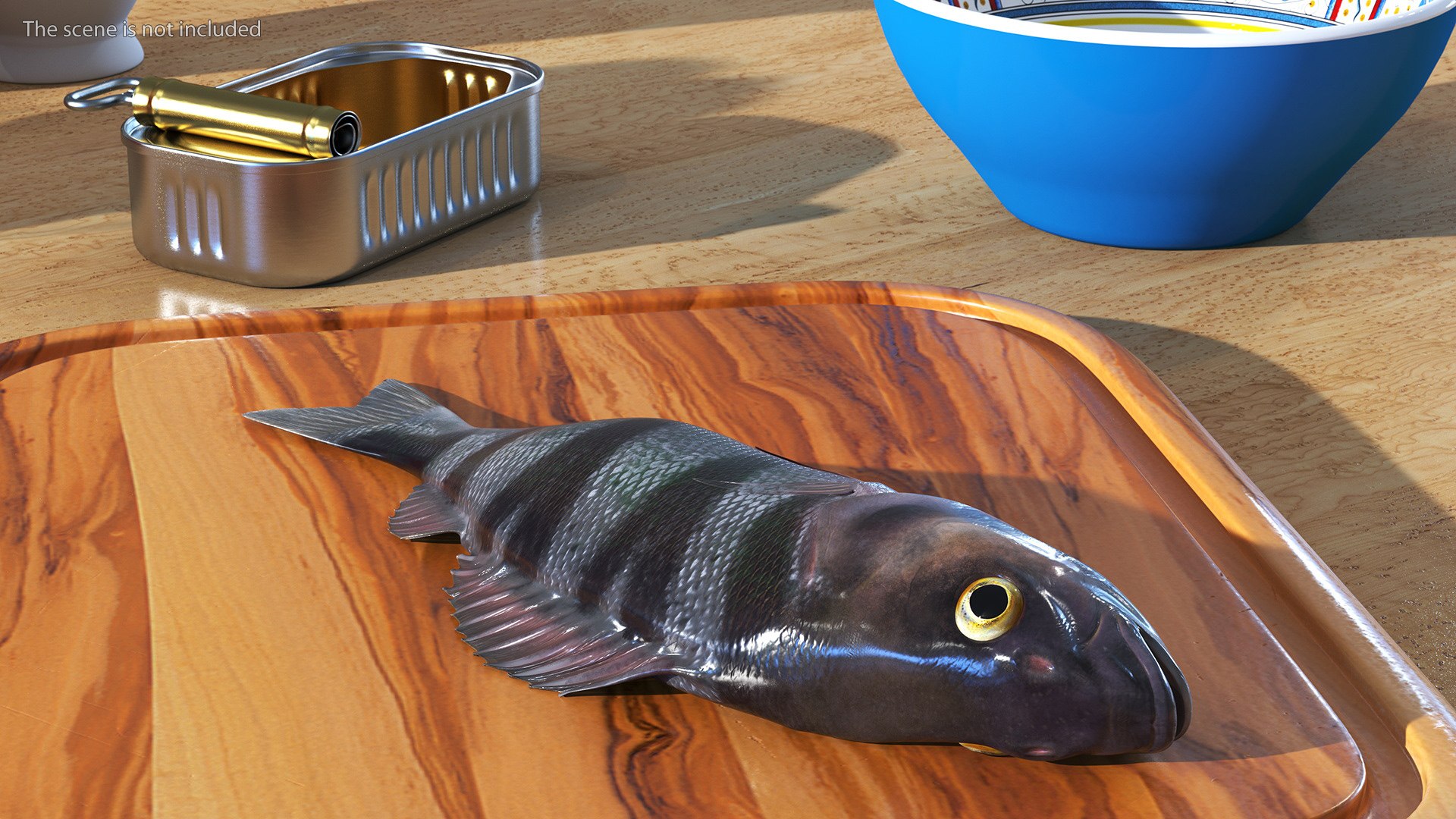 Caught Perca Fluviatilis Fish Lying 3D https://p.turbosquid.com/ts-thumb/oY/AZPOgb/YN/caughtpercafluviatilisfishlying3dmodel003/jpg/1702527430/1920x1080/fit_q87/8dbfbcf0fe8a22e6c46e977813ee363c2bf86db6/caughtpercafluviatilisfishlying3dmodel003.jpg