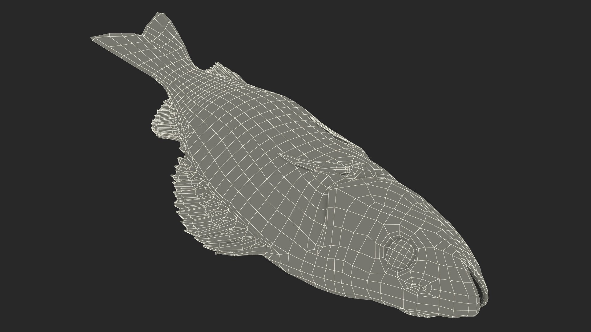 Caught Perca Fluviatilis Fish Lying 3D https://p.turbosquid.com/ts-thumb/oY/AZPOgb/f4/caughtpercafluviatilisfishlying3dmodel027/jpg/1702527528/1920x1080/fit_q87/bb28c9149e89431e395f333830dc4994a7f1e0ed/caughtpercafluviatilisfishlying3dmodel027.jpg