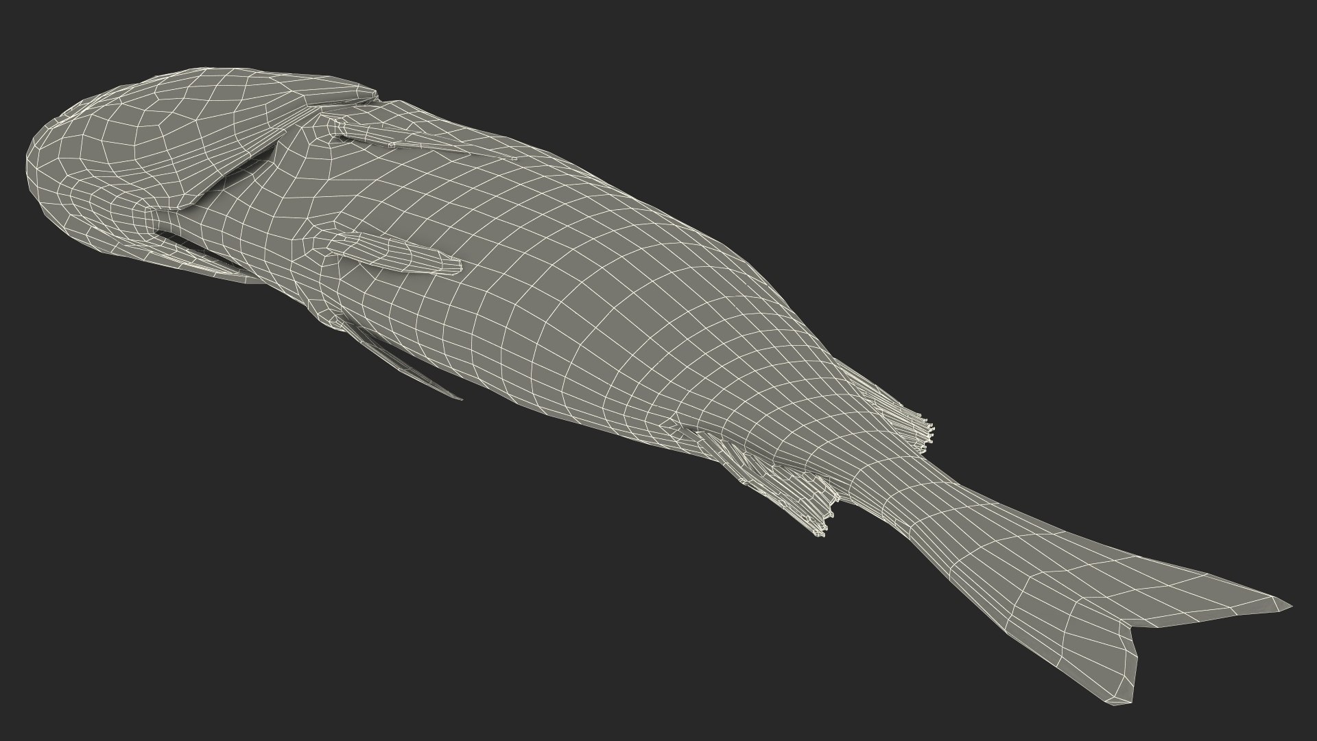 Caught Perca Fluviatilis Fish Lying 3D https://p.turbosquid.com/ts-thumb/oY/AZPOgb/tN/caughtpercafluviatilisfishlying3dmodel028/jpg/1702527532/1920x1080/fit_q87/c0d9c33d79ef5327b703d5f1e346b0b96a009821/caughtpercafluviatilisfishlying3dmodel028.jpg