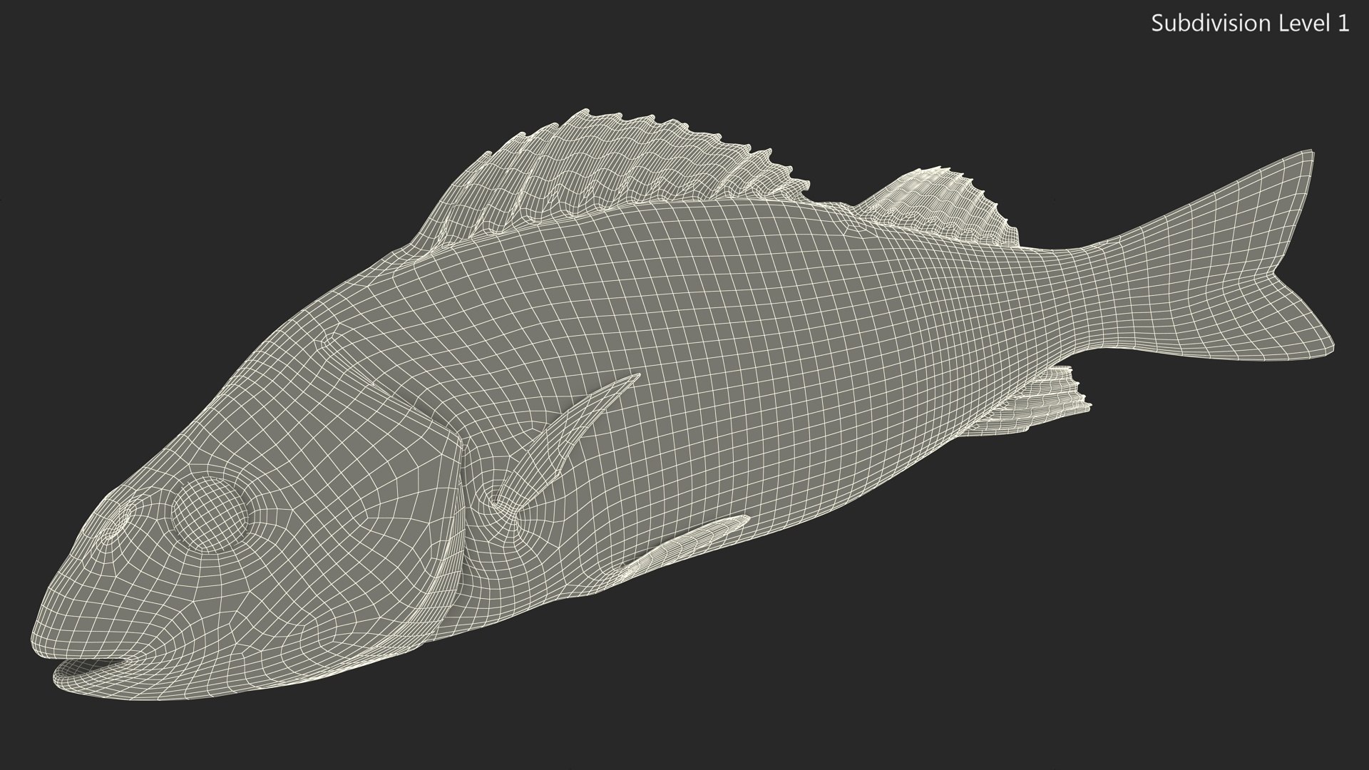 Caught Perca Fluviatilis Fish Lying 3D https://p.turbosquid.com/ts-thumb/oY/AZPOgb/vB/caughtpercafluviatilisfishlying3dmodel018/jpg/1702527492/1920x1080/fit_q87/b13dd9abd4ad99273489fb2c1ba30e1eb4a1679e/caughtpercafluviatilisfishlying3dmodel018.jpg