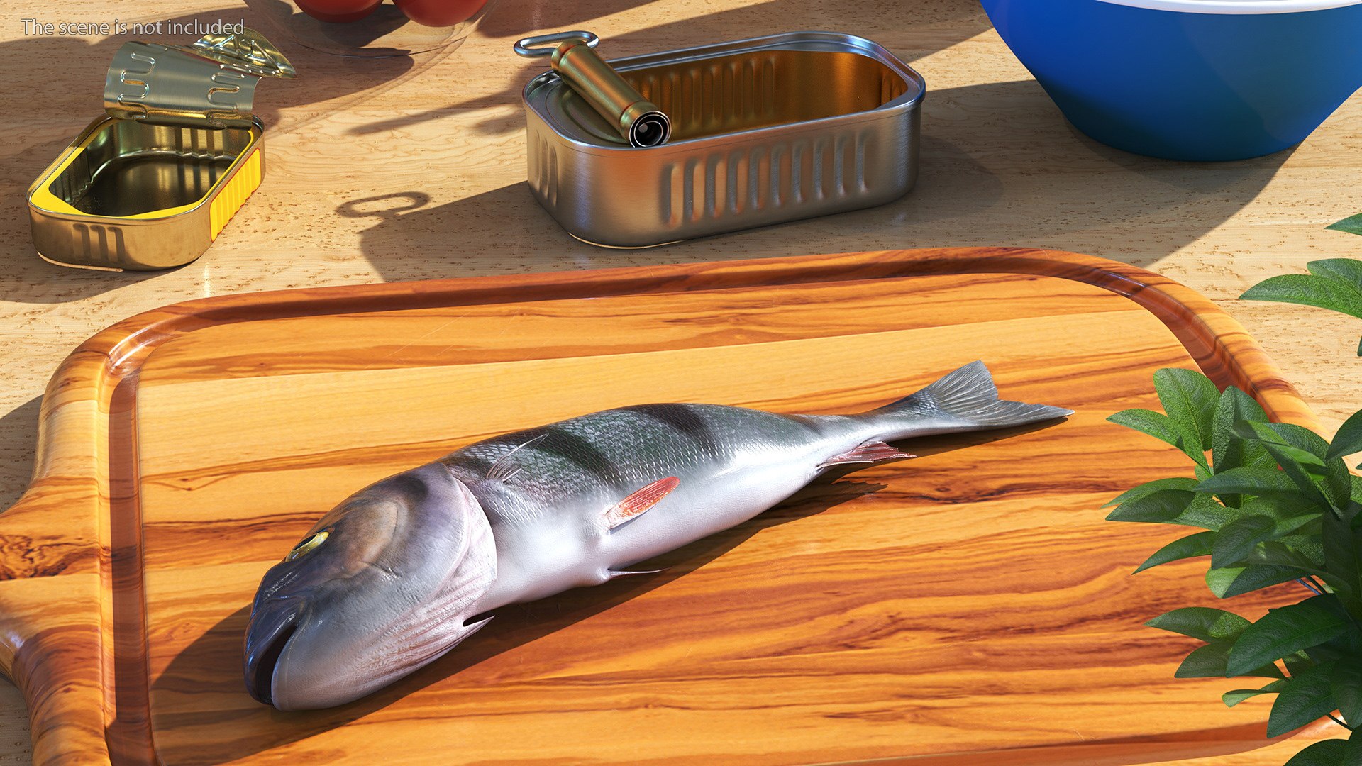 Caught Perca Fluviatilis Fish Lying 3D https://p.turbosquid.com/ts-thumb/oY/AZPOgb/wH/caughtpercafluviatilisfishlying3dmodel002/jpg/1702527426/1920x1080/fit_q87/381b88dbb0116642abadb5d5b634e27bafba8810/caughtpercafluviatilisfishlying3dmodel002.jpg