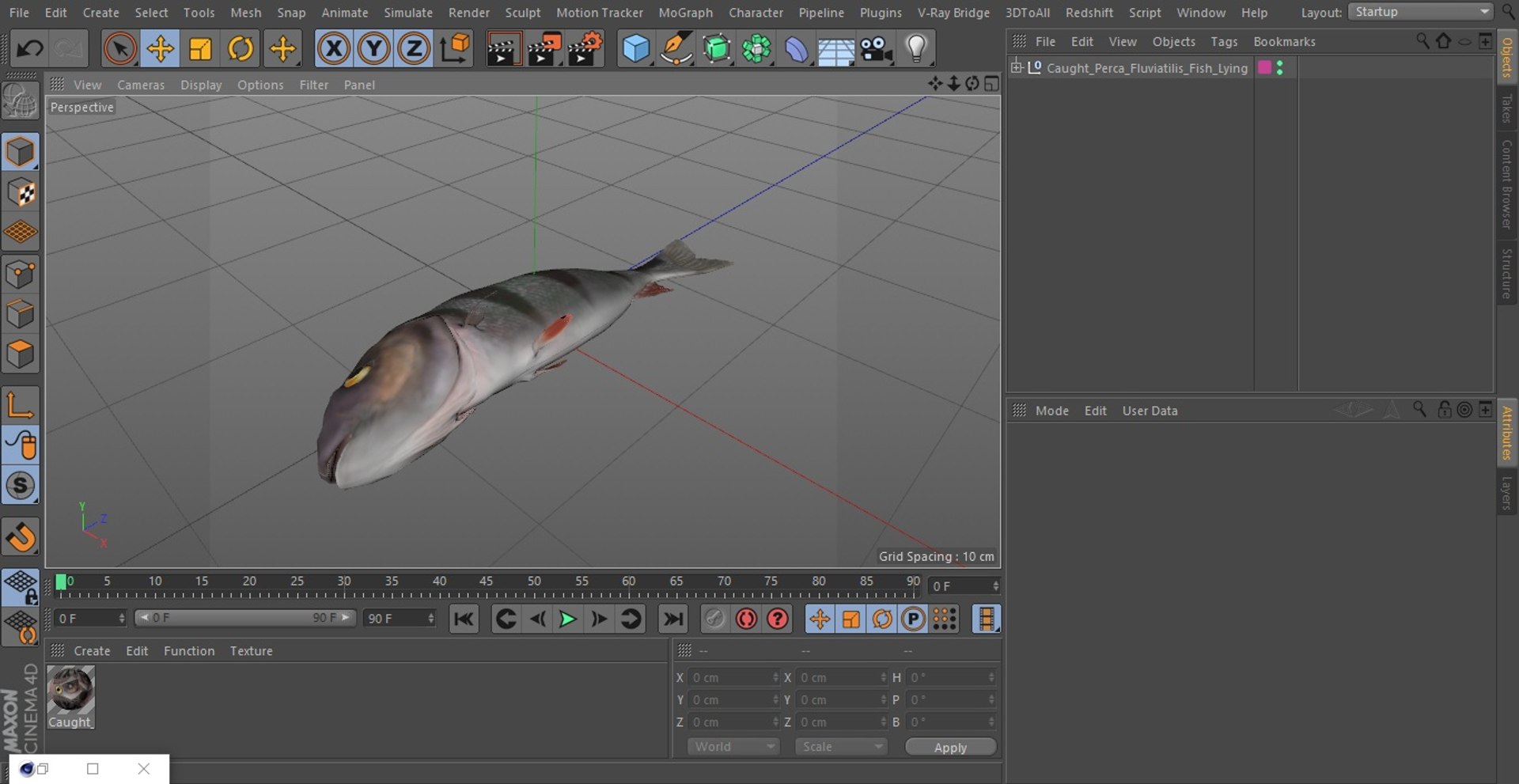 Caught Perca Fluviatilis Fish Lying 3D https://p.turbosquid.com/ts-thumb/oY/AZPOgb/wL/caughtpercafluviatilisfishlying3dmodel025/jpg/1702527520/1920x1080/fit_q87/1b32bec3e99e0b05391199ee478b6880b9cf76cb/caughtpercafluviatilisfishlying3dmodel025.jpg