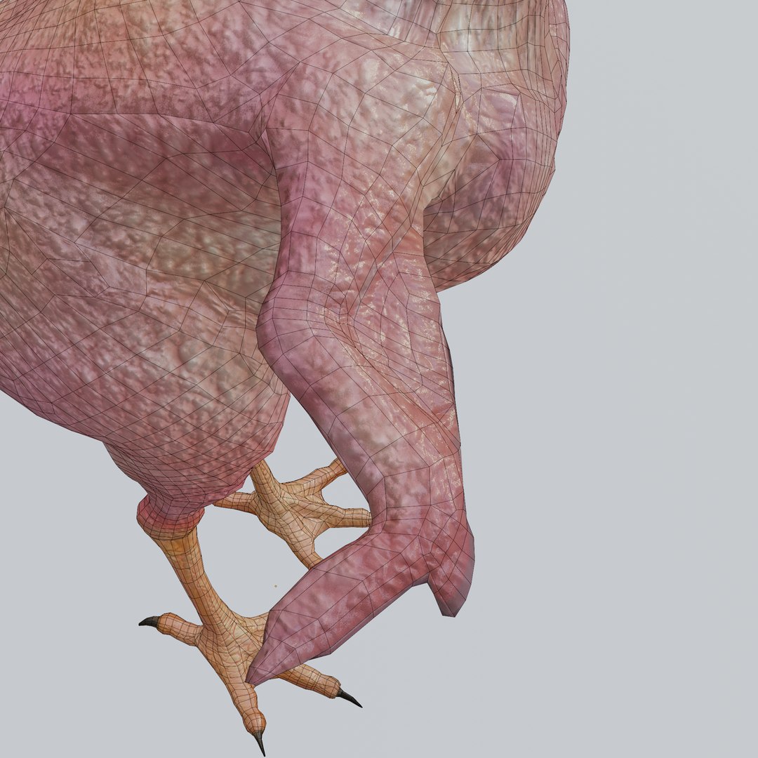 3D Funny Rooster without feather https://p.turbosquid.com/ts-thumb/oY/CNfSTD/3E/rooster03/png/1713440436/1920x1080/fit_q87/251f5df03cf8ad9f64ce0f98abb6614347846fc9/rooster03.jpg