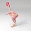 Funny Rooster without feather