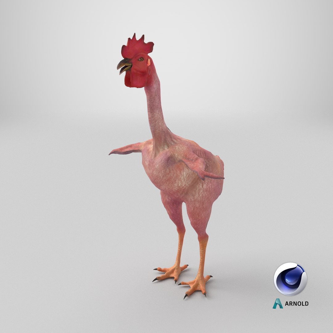 3D Funny Rooster without feather https://p.turbosquid.com/ts-thumb/oY/CNfSTD/Py/stemcell_cinema_4d_arnold_render/png/1715633442/1920x1080/fit_q87/1943cf28bd8ffa090f839653a0fcda5cb94e8df5/stemcell_cinema_4d_arnold_render.jpg