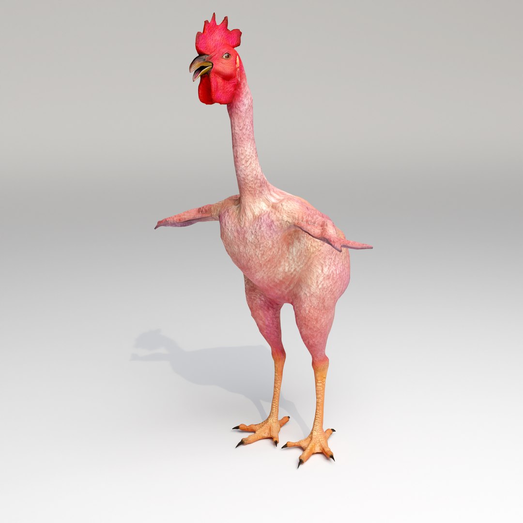 3D Funny Rooster without feather https://p.turbosquid.com/ts-thumb/oY/CNfSTD/S0/rooster1/png/1713440431/1920x1080/fit_q87/ec29c725b7fac7e241d040843268450a1e6d47a9/rooster1.jpg