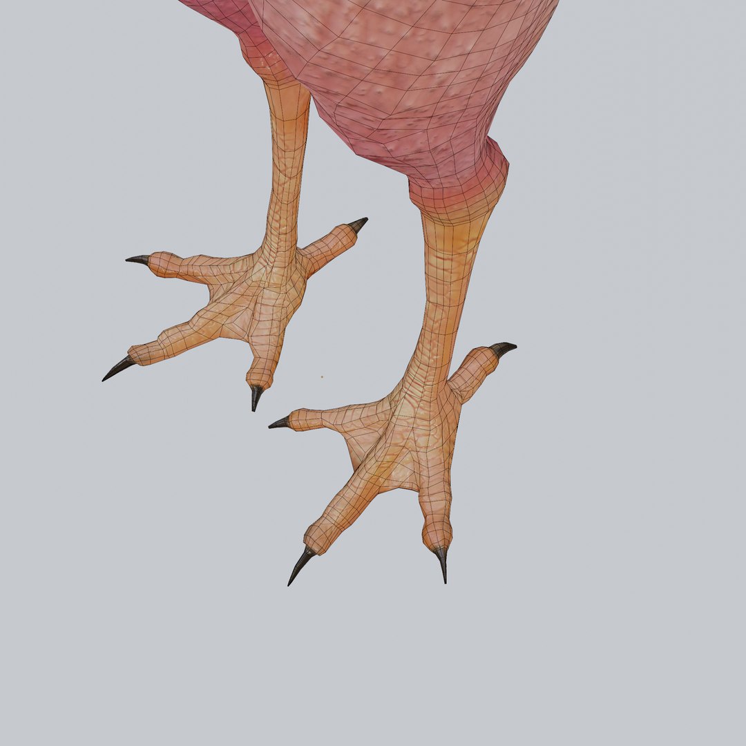 3D Funny Rooster without feather https://p.turbosquid.com/ts-thumb/oY/CNfSTD/aN/rooster02/png/1713440433/1920x1080/fit_q87/245f34f0e708f3f7b4873bed59e6cb34c661fa67/rooster02.jpg