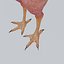 Funny Rooster without feather