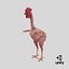 Funny Rooster without feather