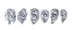 3D ears scan model