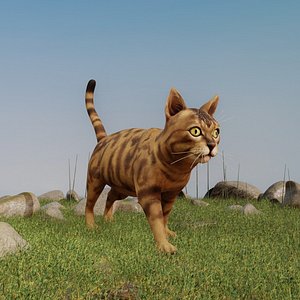 3D Stylized Bengal Cat
