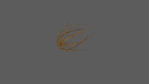 Fishing Net