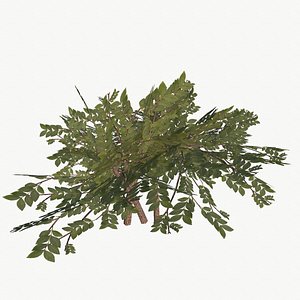 3d bush type 2 model