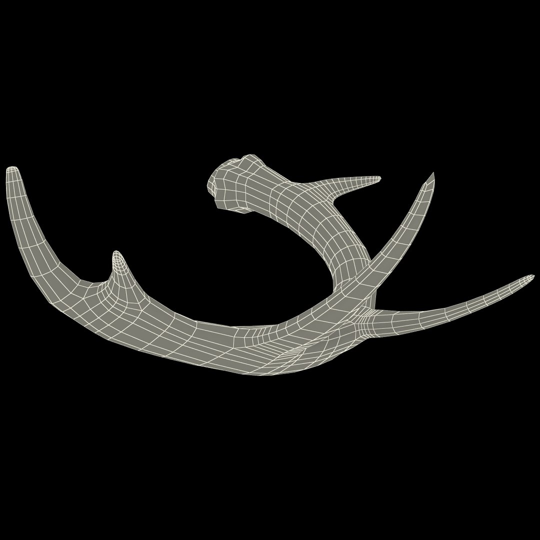 deer antler 2 3d model https://p.turbosquid.com/ts-thumb/oY/t0zVuS/QYoZvKuO/deerantler_158/jpg/1390257568/1920x1080/fit_q87/89c04b30721891ceecb36a631b7666f60852259a/deerantler_158.jpg