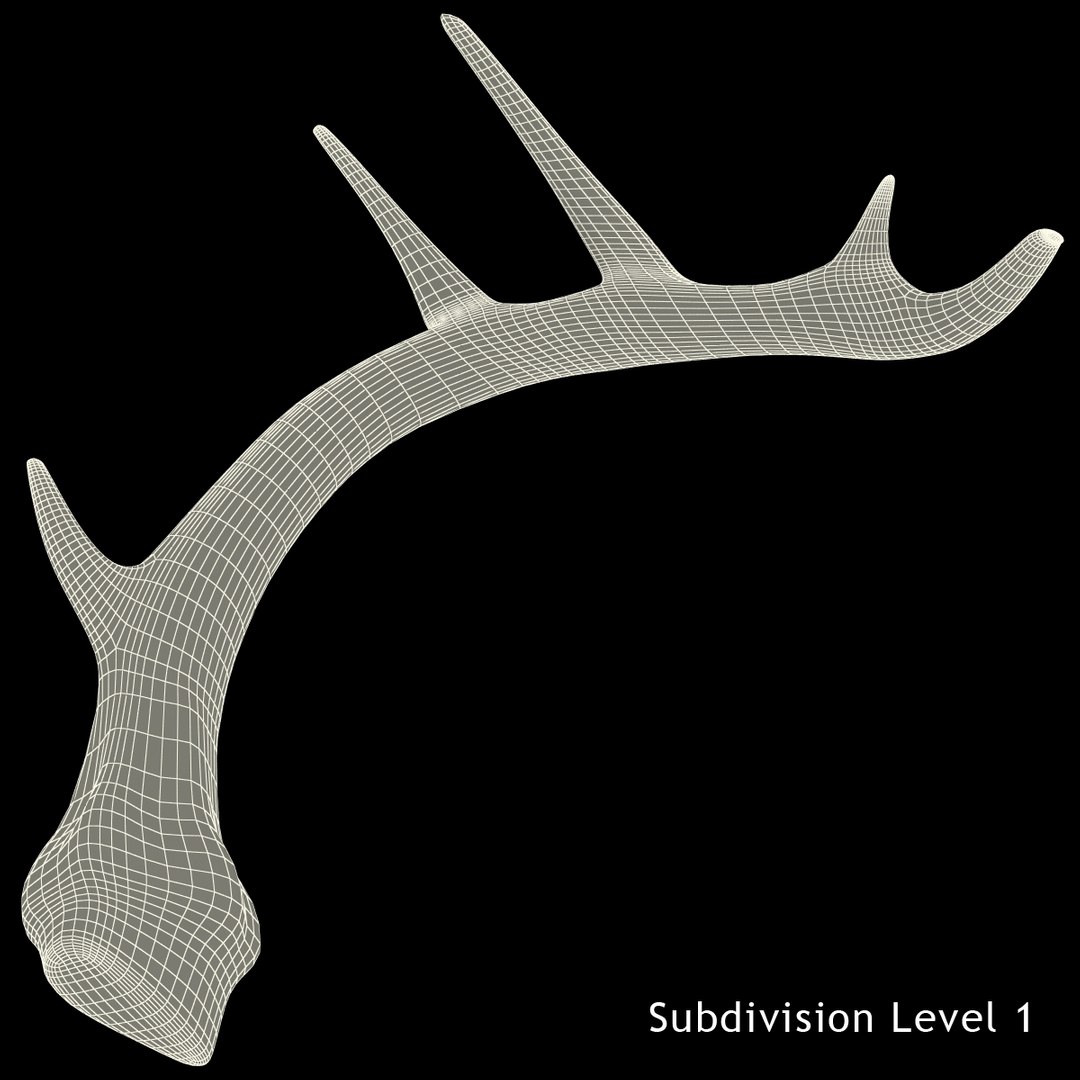 deer antler 2 3d model https://p.turbosquid.com/ts-thumb/oY/t0zVuS/c7sxBdMU/deerantler_10/jpg/1390255980/1920x1080/fit_q87/318ea4132f4599679edd22a0f9722472746448e4/deerantler_10.jpg