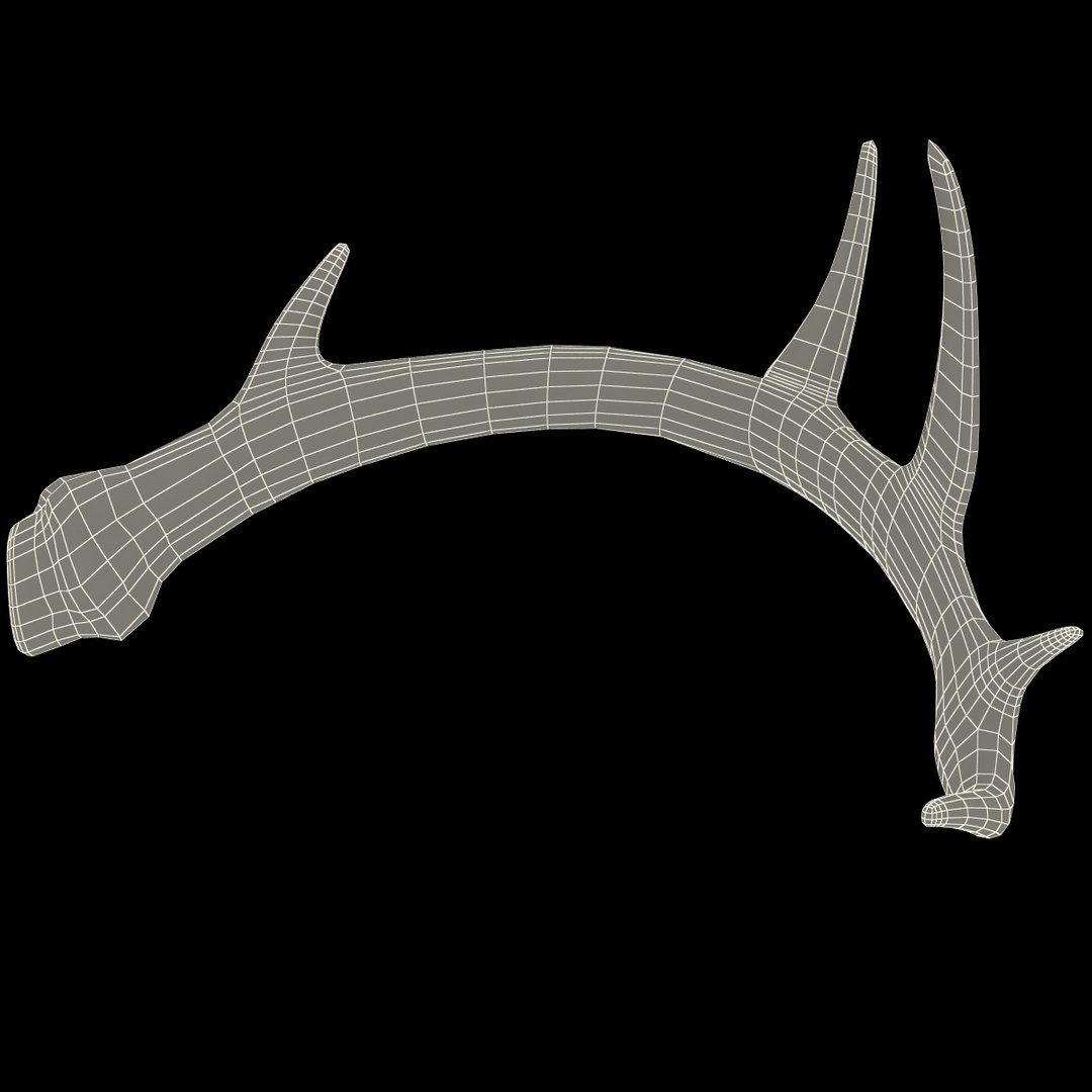 deer antler 2 3d model https://p.turbosquid.com/ts-thumb/oY/t0zVuS/ghQFOuYK/deerantler_156/jpg/1390257550/1920x1080/fit_q87/31ce430f6f81066ce73ee2fe766ae4a5fc7b30e1/deerantler_156.jpg
