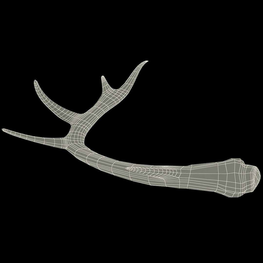 deer antler 2 3d model https://p.turbosquid.com/ts-thumb/oY/t0zVuS/jknQ791K/deerantler_161/jpg/1390257595/1920x1080/fit_q87/dc2544634b990d5dfef6f223346972f2b677a953/deerantler_161.jpg