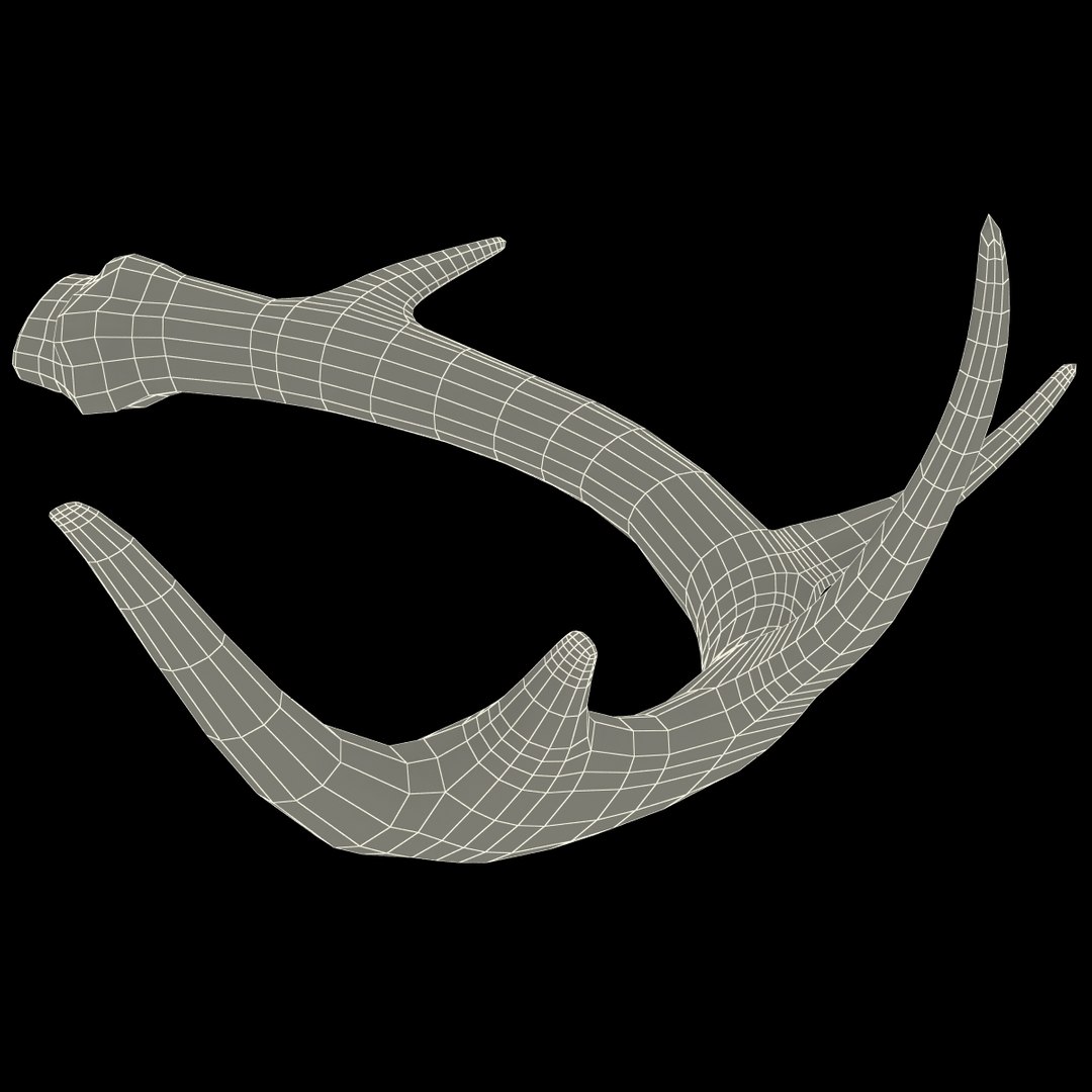 deer antler 2 3d model https://p.turbosquid.com/ts-thumb/oY/t0zVuS/ls33gcux/deerantler_157/jpg/1390257558/1920x1080/fit_q87/8ee52a38333ce38d69b883265fb698a0bb7fc0c9/deerantler_157.jpg