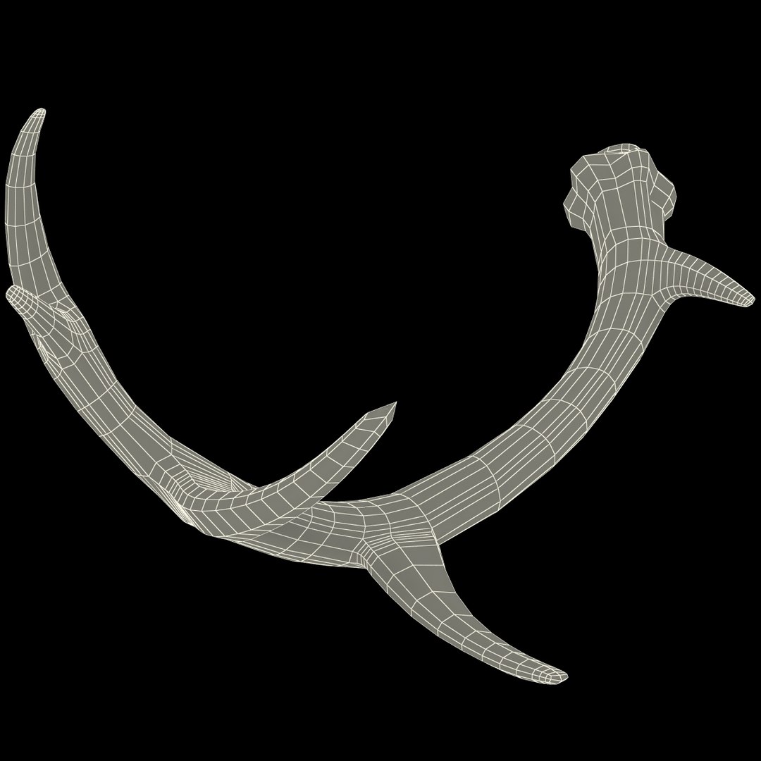 deer antler 2 3d model https://p.turbosquid.com/ts-thumb/oY/t0zVuS/ohjEDJvV/deerantler_159/jpg/1390257579/1920x1080/fit_q87/50ad29d72a6da0ba80f0bec07d1d86ce3e0429eb/deerantler_159.jpg