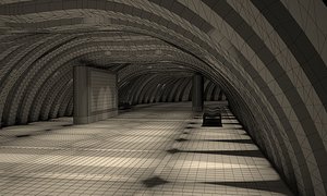 THE WOODEN ARCHWAY 2017 RAW