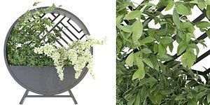 Collection plant vol 72 - blender model 3D model