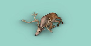 Lying Sika Deer 3D model