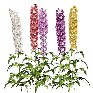 Colorful candle larkspur flowers