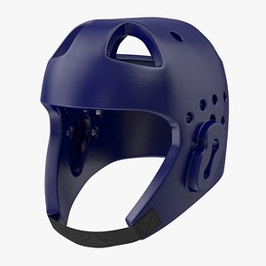 Taekwondo Helmet