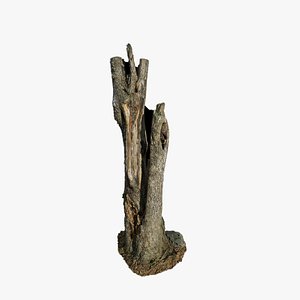 Anydrafts Stump 44 3D model