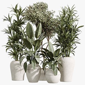 3D AV Indoor Plants Set 352 Ficus Elastica Beliza and Lemon Lime Cane and Mission Olive