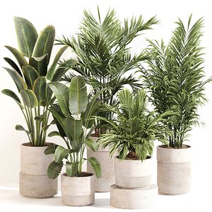 Indoor Plant Set 0112 3D model
