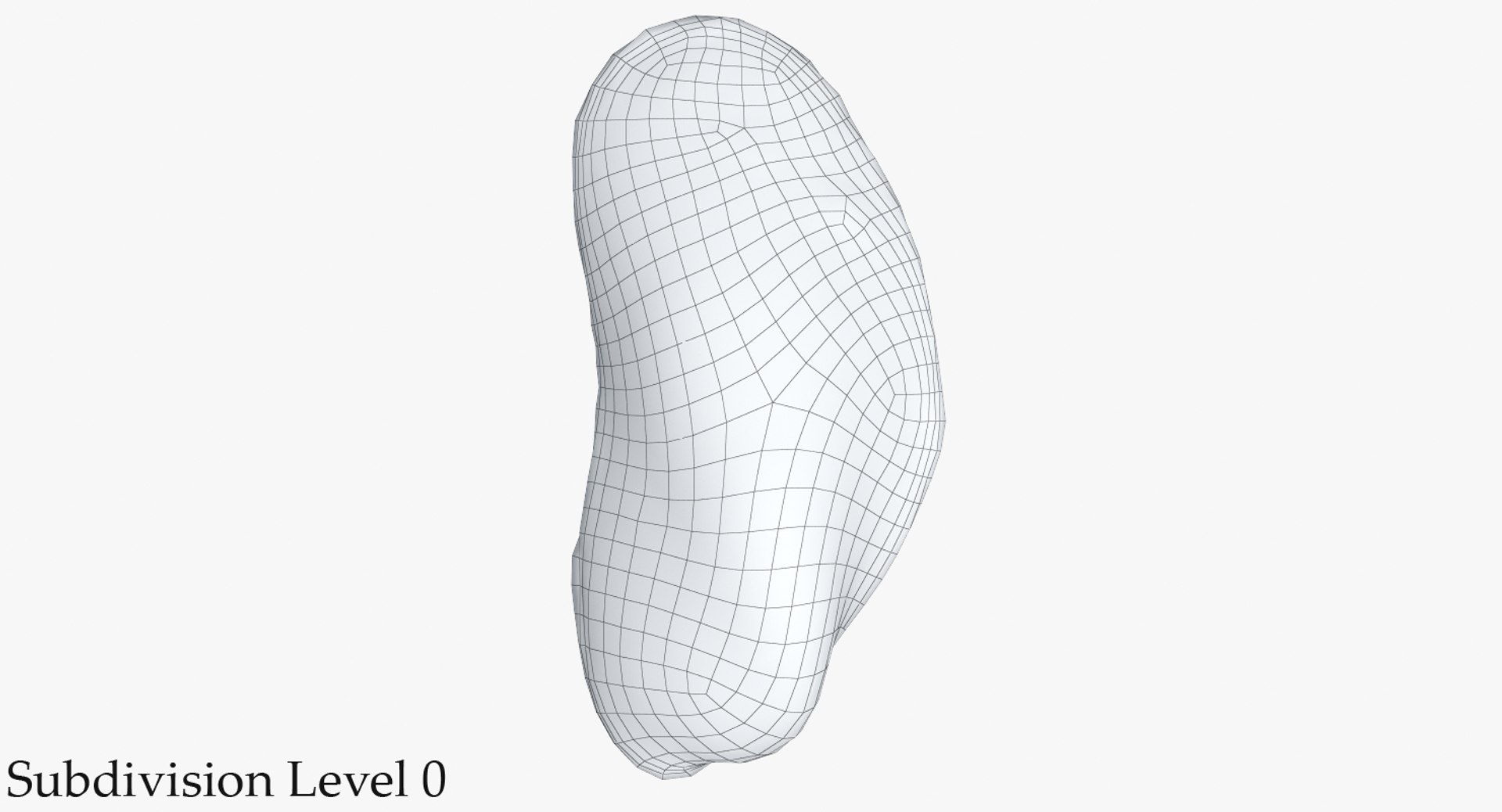 3D model mussel shell | 1143470 | TurboSquid