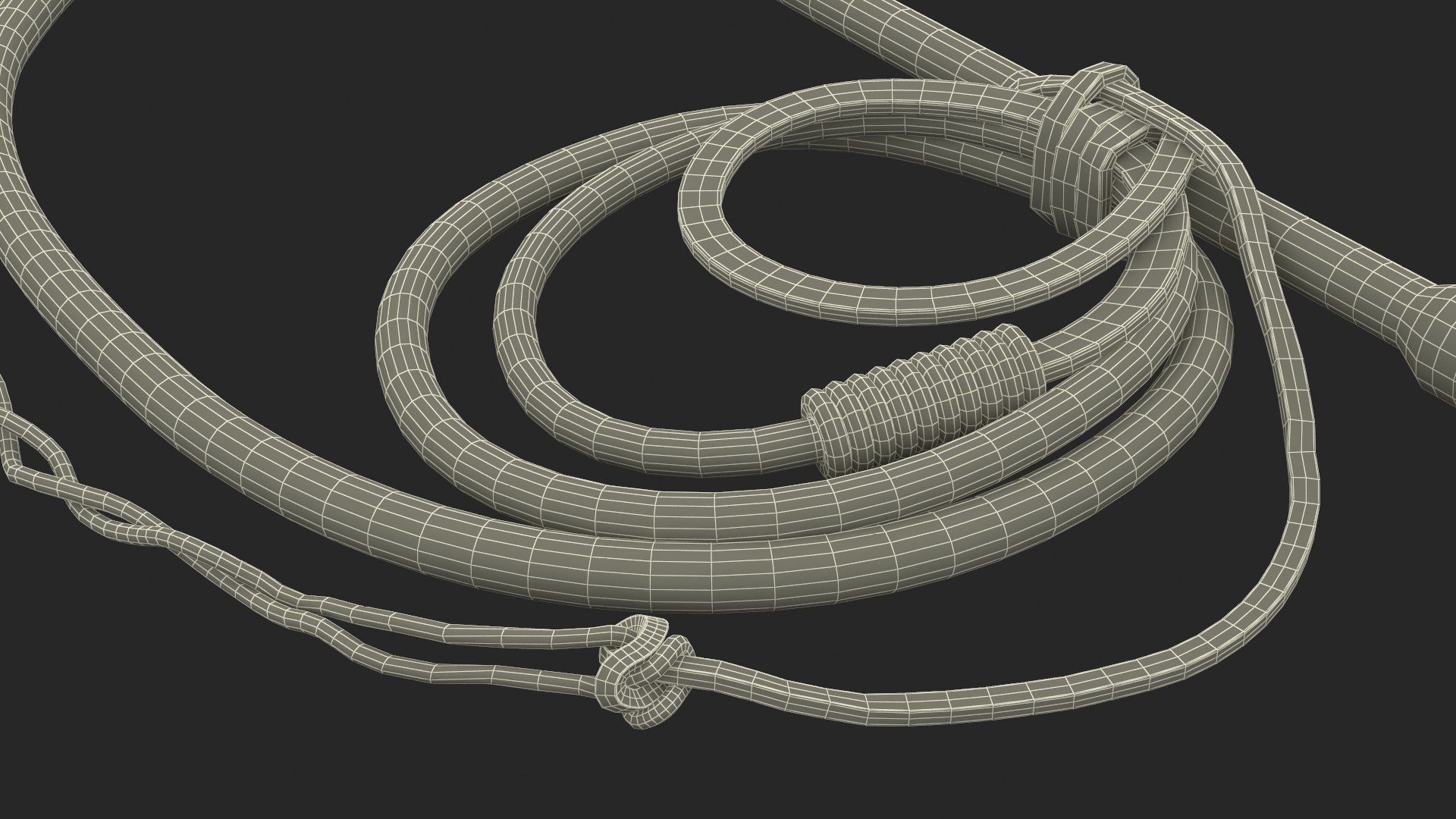 3D Historical Leather Whip Braided Black https://p.turbosquid.com/ts-thumb/oZ/gsX4Fy/2w/historicalleatherwhipbraidedblackmb3dmodel017/jpg/1711917964/1920x1080/fit_q87/53838fc28cb5e1ba11fc625661fbbe6c707db6ac/historicalleatherwhipbraidedblackmb3dmodel017.jpg