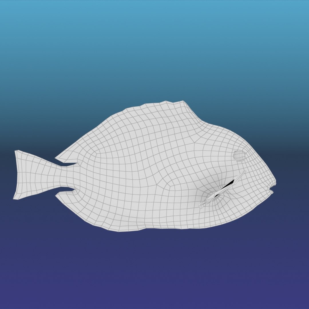 Blue Tang Fish 3d Max