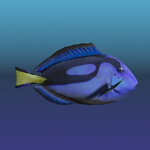 blue tang fish 3d max