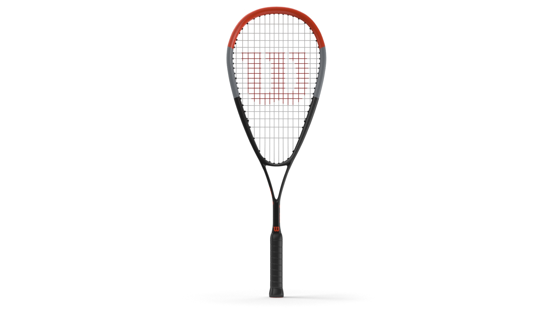 Squash Court Model TurboSquid 2062714