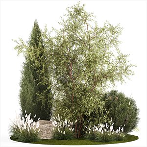 Beautiful plants for the garden of thuja pine bonsai bushes grass 1340 3D