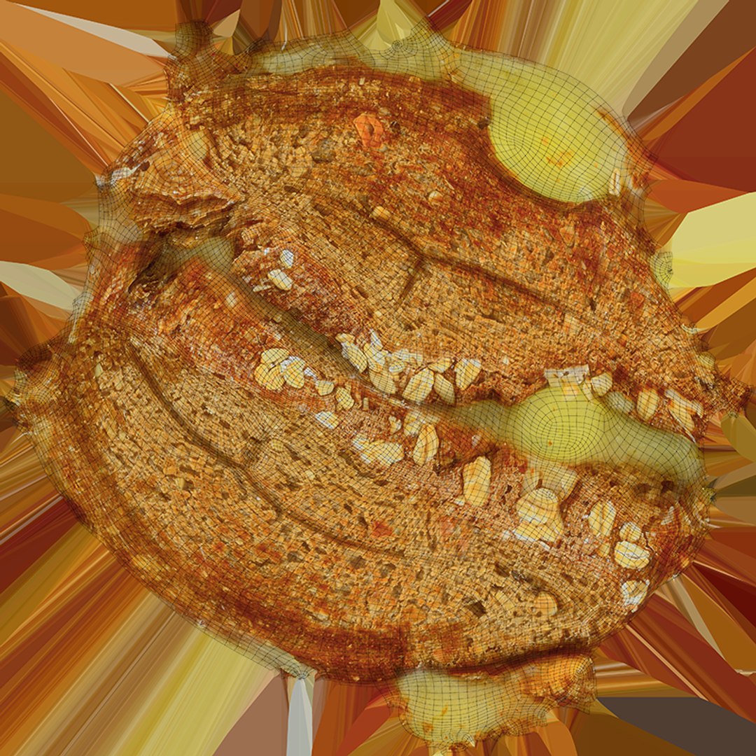 Multigrain Grilled Cheese 3D https://p.turbosquid.com/ts-thumb/oa/01sFPj/w3/multigrilledcheese_c0004/png/1765451232/1920x1080/fit_q87/d72b867a6b49641bd7f978d6e88a0093c1e48293/multigrilledcheese_c0004.jpg