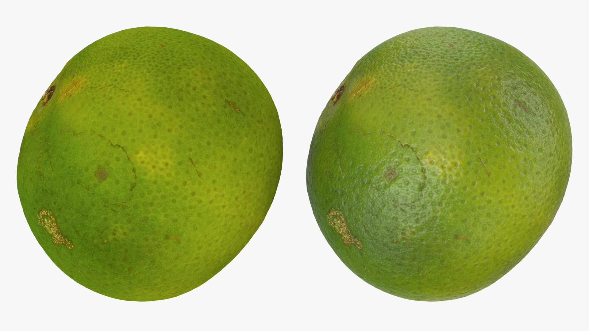 3D Green Mandarin Collection 2 model https://p.turbosquid.com/ts-thumb/oa/3izv1K/ge/mandaringreen1_a0003/jpg/1719773217/1920x1080/fit_q87/117a88c5f7637b44758fda7e583d617d0011be32/mandaringreen1_a0003.jpg