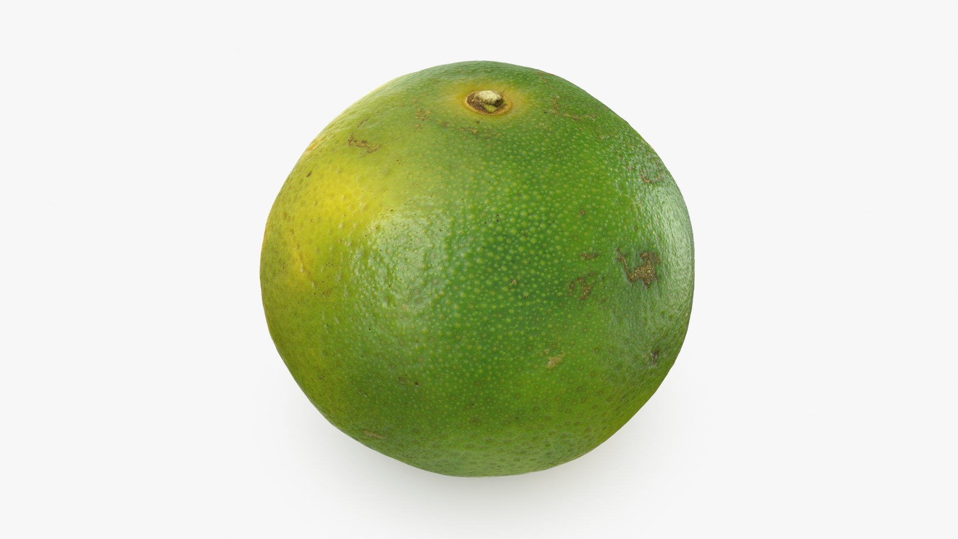 3D Green Mandarin Collection 2 model https://p.turbosquid.com/ts-thumb/oa/3izv1K/uA/mandaringreen2_a0001/jpg/1719773884/1920x1080/fit_q87/e20be301f0b93b34d50a00b0df2993f947a55566/mandaringreen2_a0001.jpg