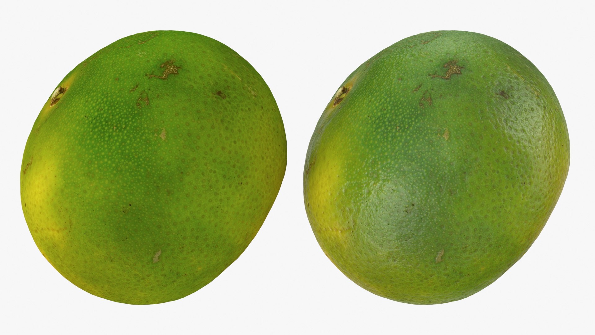 3D Green Mandarin Collection 2 model https://p.turbosquid.com/ts-thumb/oa/3izv1K/vl/mandaringreen2_a0003/jpg/1719773885/1920x1080/fit_q87/ad9959225531e0aa12aca216882cb27160425bed/mandaringreen2_a0003.jpg