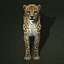 Guépard (2) (FUR)