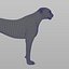 Guépard (2) (FUR)