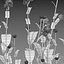3D Cirsium rivulare Atropurpureum - Plume thistle Atropurpureum 02