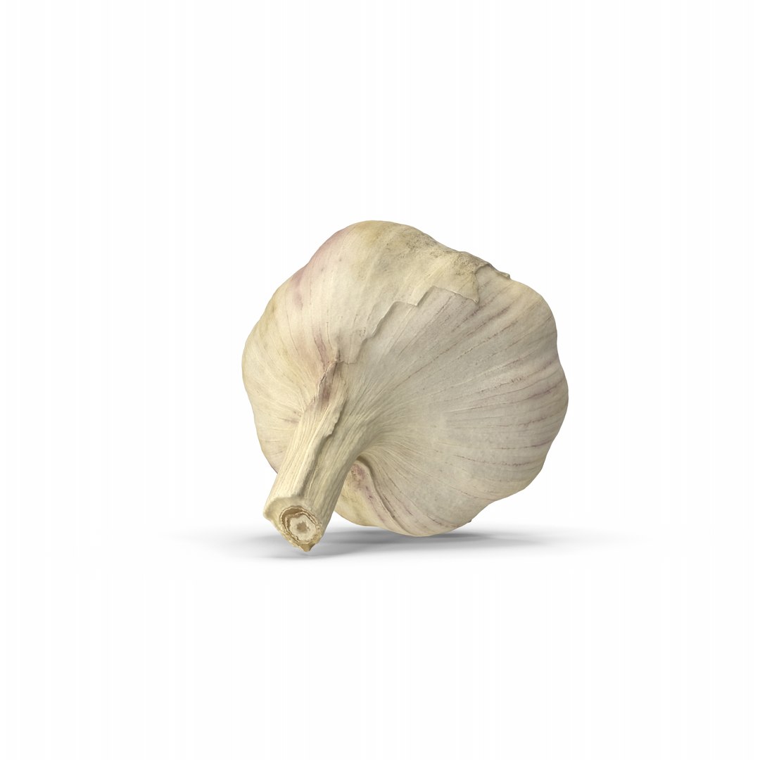 Garlic 3D model https://p.turbosquid.com/ts-thumb/oa/8AuMd0/1s/garlic.i02.2k/png/1745657965/1920x1080/fit_q87/936ebdf0941bc75c64a704750e3890c223e62c03/garlic.i02.2k.jpg