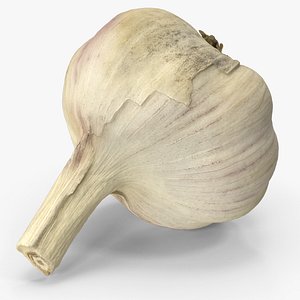Garlic 3D model