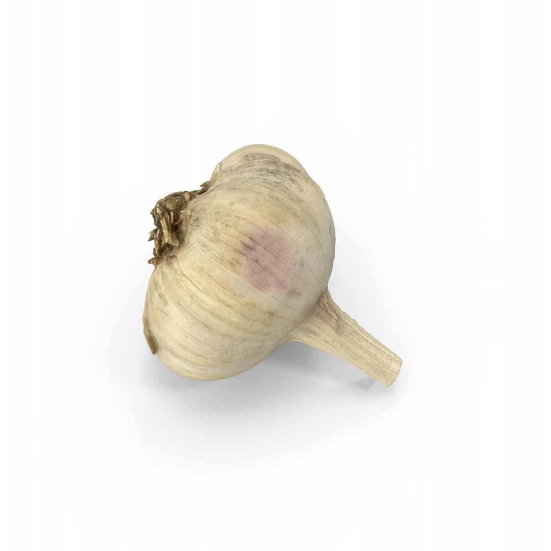 Garlic 3D model https://p.turbosquid.com/ts-thumb/oa/8AuMd0/Eh/garlic.d14.2k/png/1745657960/1920x1080/fit_q87/8314e667e799f26c0435f7c07a5f51005aa7e8f8/garlic.d14.2k.jpg