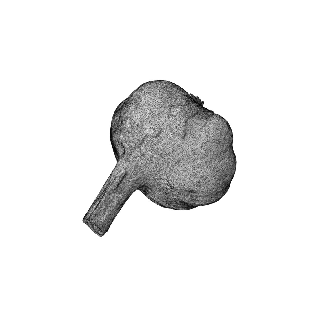 Garlic 3D model https://p.turbosquid.com/ts-thumb/oa/8AuMd0/yW/54534/jpg/1745782840/1920x1080/fit_q87/1997ed4db090068ed6724f3f63feefb90144f76a/54534.jpg