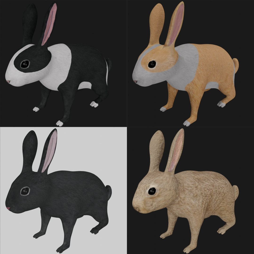 Realistic rigged rabbit 3D - TurboSquid 1669731